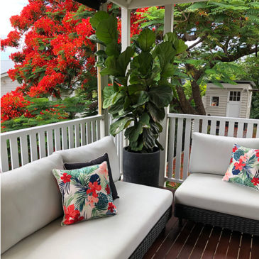 POP-OF-COLOUR-toowong-house-gallery-5